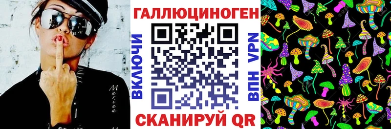 Псилоцибиновые грибы Psilocybe  kraken как войти  Сретенск 